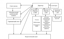 Структура управляющей системы школы включает несколько уровней.
Первый уровень – Совет школы, педагогический совет, директор (уровень
стратегического управления). Высшим коллективным органом
общественного управления школы является Совет школы, который состоит
из представителей педагогического коллектива, родителей и обучающихся.
Совет школы собирается один раз в четверть и принимает важнейшие
решения по различным направлениям развития школы. Директор,
педагогический совет (высший орган самоуправления педагогов), собрание
трудового коллектива (высший орган самоуправления работников школы)
определяют стратегию развития школы, представляют ее интересы в
государственных и общественных инстанциях.
